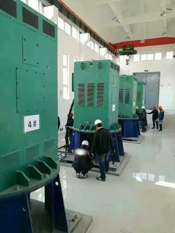Y4004-2某污水处理厂使用我厂的立式高压电机安装现场