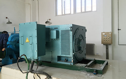 Y4004-2某水电站工程主水泵使用我公司高压电机