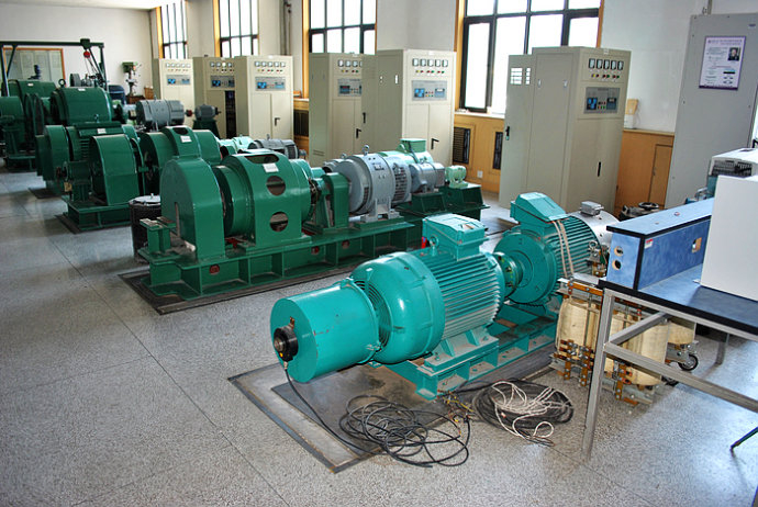 Y4004-2某热电厂使用我厂的YKK高压电机提供动力