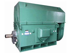 Y4004-2YKK系列高压电机